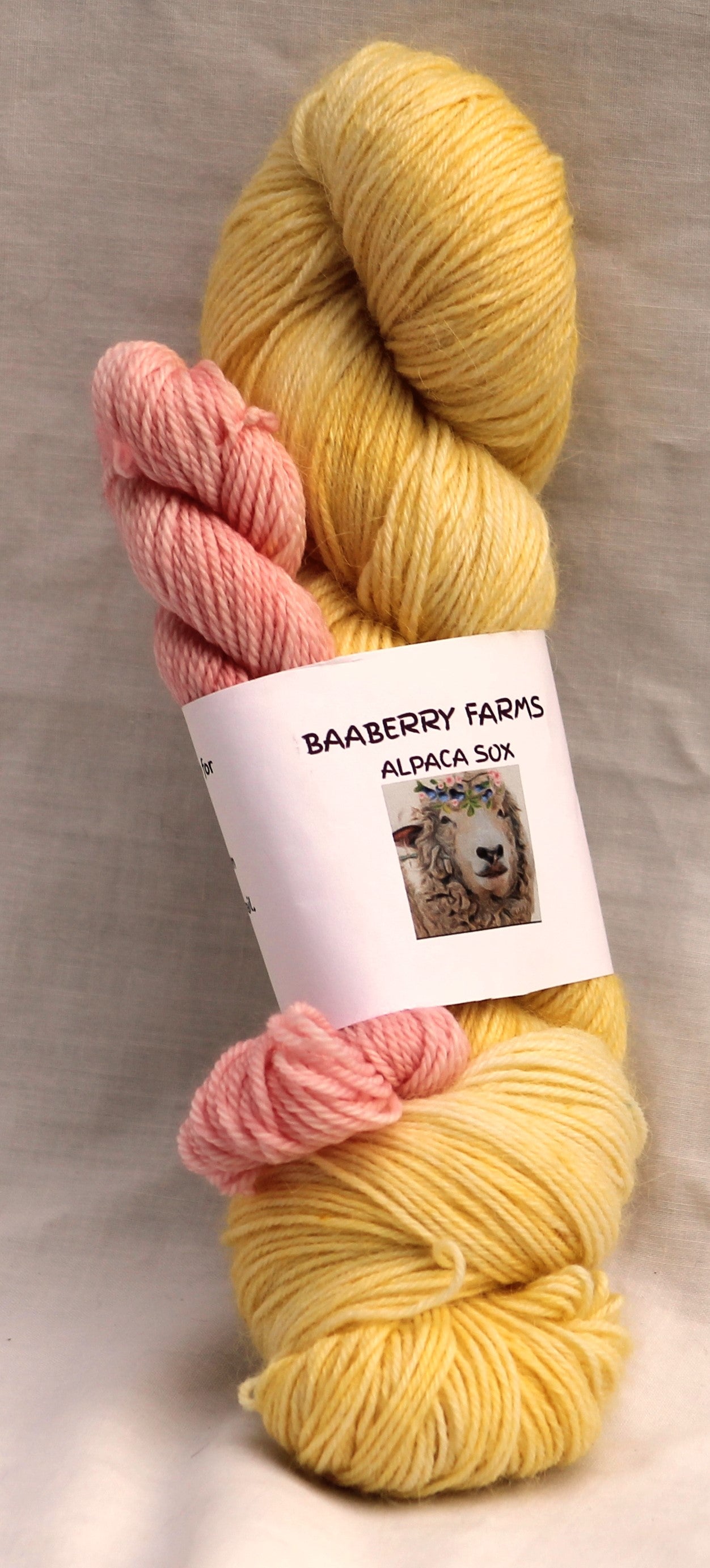 Worsted Weight Silk Yarn Pack